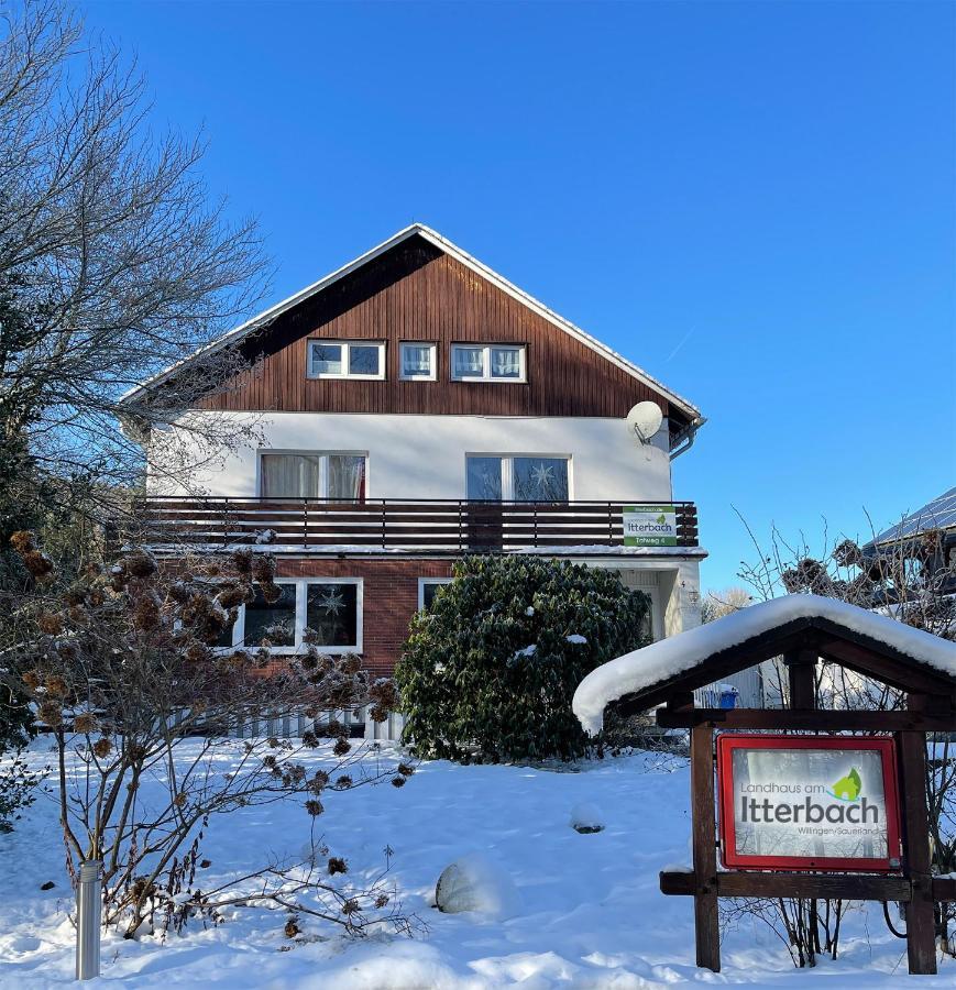 Landhaus Am Itterbach Willingen Вилинген Екстериор снимка
